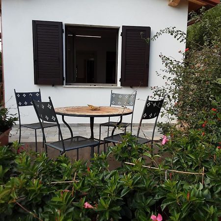 Agriturismomillefiori مانشانو المظهر الخارجي الصورة