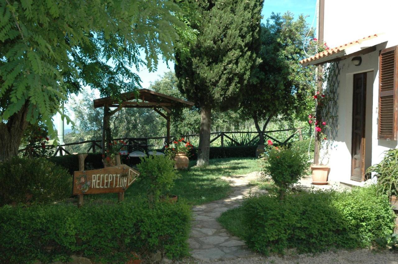 Agriturismomillefiori مانشانو المظهر الخارجي الصورة
