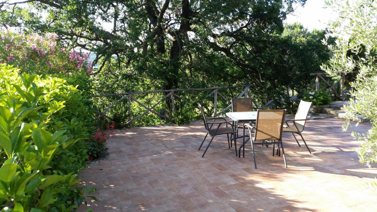 Agriturismomillefiori مانشانو المظهر الخارجي الصورة